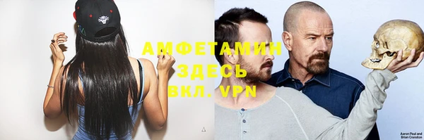PSILOCYBIN Белокуриха