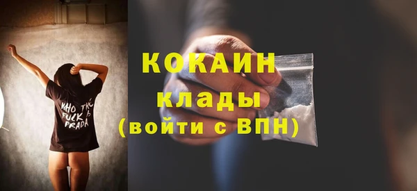 PSILOCYBIN Белокуриха
