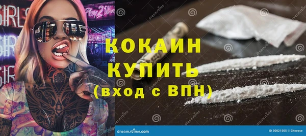 PSILOCYBIN Белокуриха