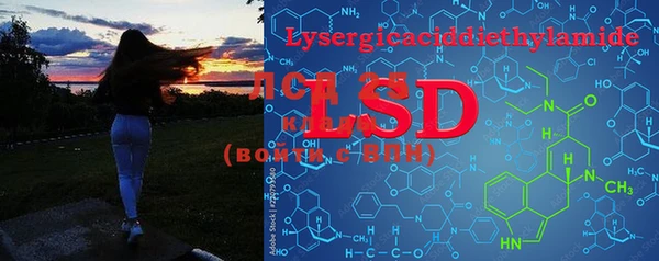 PSILOCYBIN Белокуриха