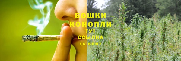 PSILOCYBIN Белокуриха